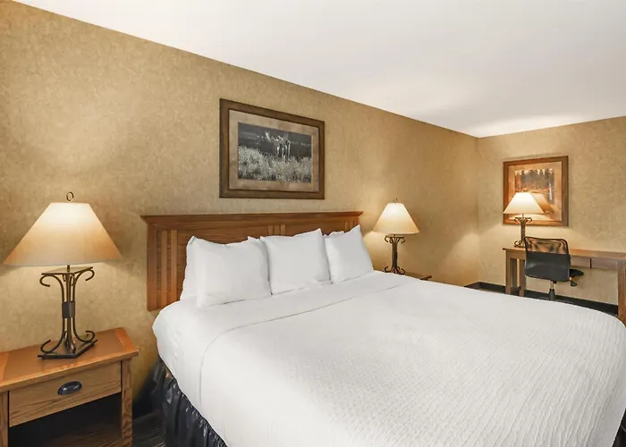 Hotel Western Kelly And